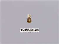 藏品(暗良苔蛾)的圖片